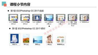 开发去在线视频,技术革新与未来趋势