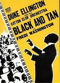 褐色在线视频,揭秘神秘世界的一扇窗