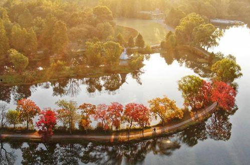 秋意浓在线视频播放网站,沉浸式体验在线视频网站的视听盛宴