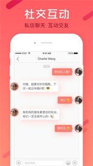 福利 骚 在线视频,揭秘在线视频的激情与诱惑