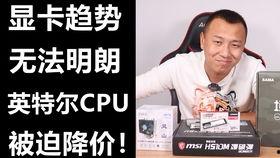 非酋在线视频,揭秘网络直播中的幸运与无奈