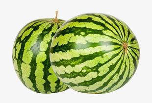 大西瓜在线视频最新